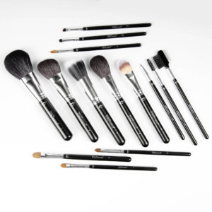 Pro Professional 14 Piece Brush Set - X067