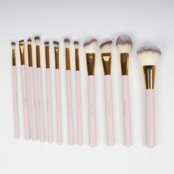 Luxurious Touch 12 Piece Brush Set